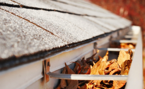 Gutter Maintenance: The Overlooked Aspect Of Home Siding Care